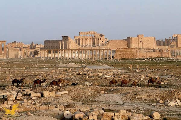 راهنمای سفر به سوریه 4 محل اقامت در سوریه برای مسافرین